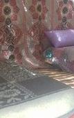 Туры в отель Tissili Auberge Restaurant Oasis de Fint Туры в отель Tissili Auberge Restaurant Oasis de Fint
