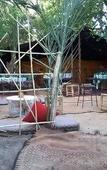 Туры в отель Tissili Auberge Restaurant Oasis de Fint Туры в отель Tissili Auberge Restaurant Oasis de Fint