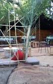 Туры в отель Tissili Auberge Restaurant Oasis de Fint Туры в отель Tissili Auberge Restaurant Oasis de Fint