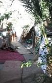 Туры в отель Tissili Auberge Restaurant Oasis de Fint Туры в отель Tissili Auberge Restaurant Oasis de Fint