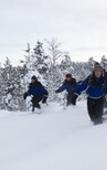 Туры в отель Wilderness Hotel Inari & Igloos Туры в отель Wilderness Hotel Inari & Igloos