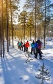 Туры в отель Wilderness Hotel Inari & Igloos Туры в отель Wilderness Hotel Inari & Igloos