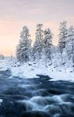 Туры в отель Wilderness Hotel Inari & Igloos Туры в отель Wilderness Hotel Inari & Igloos