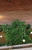 Туры в отель Minh Nhung Hotel Туры в отель Minh Nhung Hotel