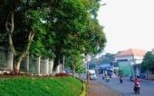Туры в отель Minh Nhung Hotel Туры в отель Minh Nhung Hotel