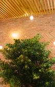 Туры в отель Minh Nhung Hotel Туры в отель Minh Nhung Hotel