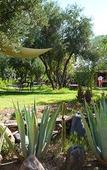 Туры в отель Les Jardins de Skoura Туры в отель Les Jardins de Skoura