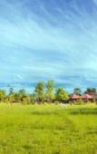 Туры в отель THAISOMBOON BIGHOME RESORT Туры в отель THAISOMBOON BIGHOME RESORT