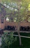 Туры в отель Sinter Terasse House Hotel Туры в отель Sinter Terasse House Hotel