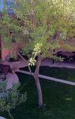 Туры в отель Sinter Terasse House Hotel Туры в отель Sinter Terasse House Hotel