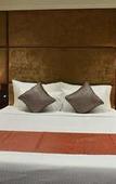 Туры в отель Pride Hotel & Convention Centre Indore Туры в отель Pride Hotel & Convention Centre Indore