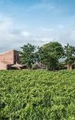 Туры в отель Cavanera Etnea Resort & Wine Experience Туры в отель Cavanera Etnea Resort & Wine Experience