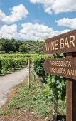 Туры в отель Cavanera Etnea Resort & Wine Experience Туры в отель Cavanera Etnea Resort & Wine Experience