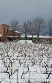 Туры в отель Cavanera Etnea Resort & Wine Experience Туры в отель Cavanera Etnea Resort & Wine Experience