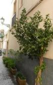 Туры в отель Cavour Rooms Туры в отель Cavour Rooms