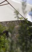 Туры в отель Hotel E Caselle - Demeures & Chateaux Туры в отель Hotel E Caselle - Demeures & Chateaux