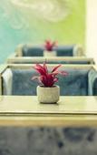 Туры в отель Kadamb Spritual Stay Туры в отель Kadamb Spritual Stay