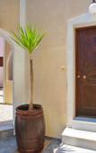 Туры в отель Kelenis Apartments Туры в отель Kelenis Apartments