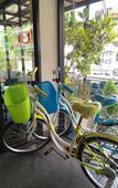 Туры в отель The Cozy Nest Boutique Rooms Туры в отель The Cozy Nest Boutique Rooms