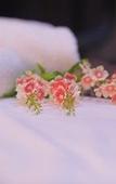 Туры в отель Oyo 91009 One Enigma Hotel Туры в отель Oyo 91009 One Enigma Hotel