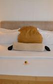 Туры в отель Gold Crest Hotel - Mwanza Туры в отель Gold Crest Hotel - Mwanza