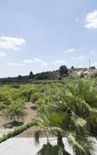 Туры в отель Villa Landolina Туры в отель Villa Landolina