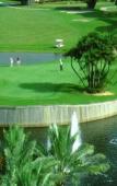 Туры в отель Courtyard by Marriott Fort Lauderdale Plantation Туры в отель Courtyard by Marriott Fort Lauderdale Plantation