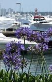 Туры в отель Hotel Jamaica Punta del Este - Hotel & Residence Туры в отель Hotel Jamaica Punta del Este - Hotel & Residence
