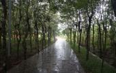 Туры в отель Orchard Home Resort Nam Cat Tien Туры в отель Orchard Home Resort Nam Cat Tien