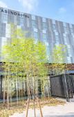 Туры в отель Tabino Hotel Sado Туры в отель Tabino Hotel Sado