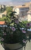 Туры в отель LeAlbe di Sicilia Туры в отель LeAlbe di Sicilia