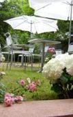 Туры в отель Hotel Furst Garden Туры в отель Hotel Furst Garden