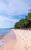 Туры в отель Kim Hoa Resort Туры в отель Kim Hoa Resort