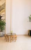 Туры в отель Cactusland Boutique Hotel Туры в отель Cactusland Boutique Hotel
