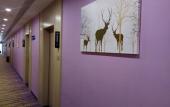 Туры в отель GreenTree Alliance Hotel (Kunming Ganmei Hospital Linyuqiao Metro Station) Туры в отель GreenTree Alliance Hotel (Kunming Ganmei Hospital Linyuqiao Metro Station)