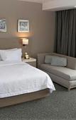 Туры в отель Hampton Inn & Suites by Hilton Puebla Туры в отель Hampton Inn & Suites by Hilton Puebla