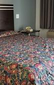 Туры в отель Starlight Inn La Brea Туры в отель Starlight Inn La Brea