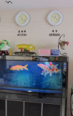 Туры в отель Homeinn Fairyland Shangpin Hotel (Heihe Central Pedestrian Street) Туры в отель Homeinn Fairyland Shangpin Hotel (Heihe Central Pedestrian Street)