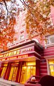 Туры в отель Hotel Sofia(next to the central pedestrian street) Туры в отель Hotel Sofia(next to the central pedestrian street)