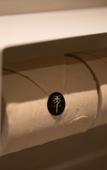 Туры в отель JI Hotel (Beijing Daxing Biomedical Base) Туры в отель JI Hotel (Beijing Daxing Biomedical Base)