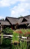 Туры в отель Kampung Sumber Alam Garut Powered by Archipelago Туры в отель Kampung Sumber Alam Garut Powered by Archipelago