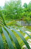 Туры в отель Samalas Boutique Hotel resort & Private Pool Villas Туры в отель Samalas Boutique Hotel resort & Private Pool Villas