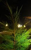 Туры в отель Samalas Boutique Hotel resort & Private Pool Villas Туры в отель Samalas Boutique Hotel resort & Private Pool Villas