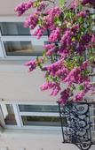Туры в отель Hotel Beethoven Туры в отель Hotel Beethoven