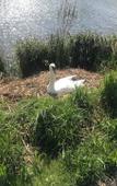 Туры в отель The Green Туры в отель The Green