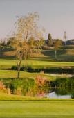 Туры в отель The Green Туры в отель The Green