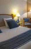 Туры в отель Mercure Nevers Pont de Loire Туры в отель Mercure Nevers Pont de Loire