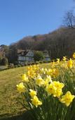 Туры в отель Le Manoir des Impressionnistes - Bord de Mer Туры в отель Le Manoir des Impressionnistes - Bord de Mer