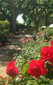 Туры в отель Mas Valentine Hotel Туры в отель Mas Valentine Hotel