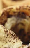 Туры в отель Domaine Riberach – Hotel 4* - Restaurant gastronomique - Spa - Piscine - Vignoble Туры в отель Domaine Riberach – Hotel 4* - Restaurant gastronomique - Spa - Piscine - Vignoble